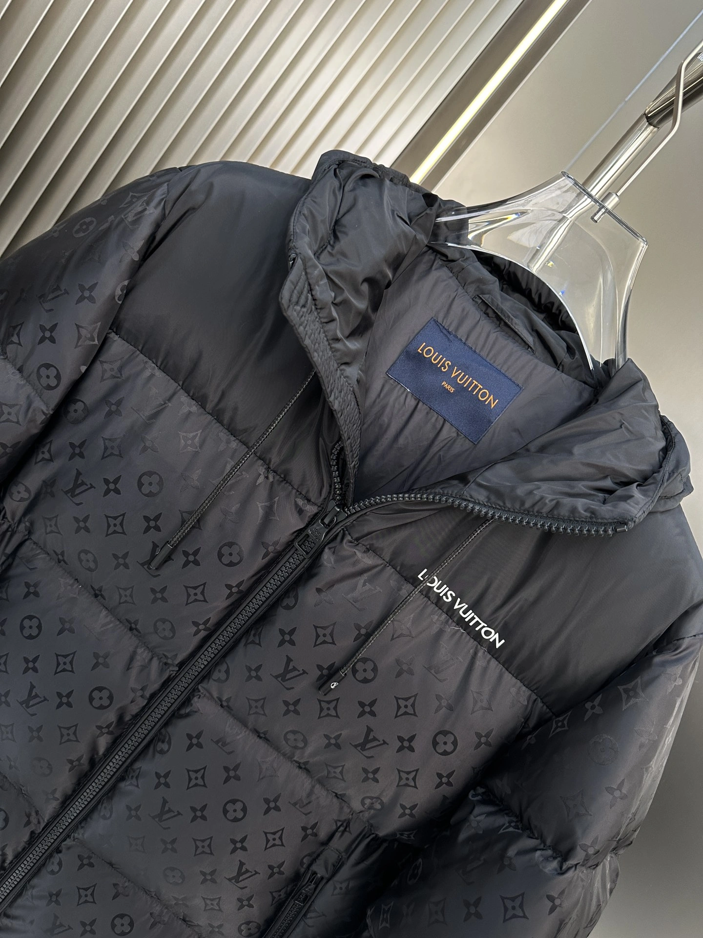 Louis Vuitton Down Jackets Trendy 139443