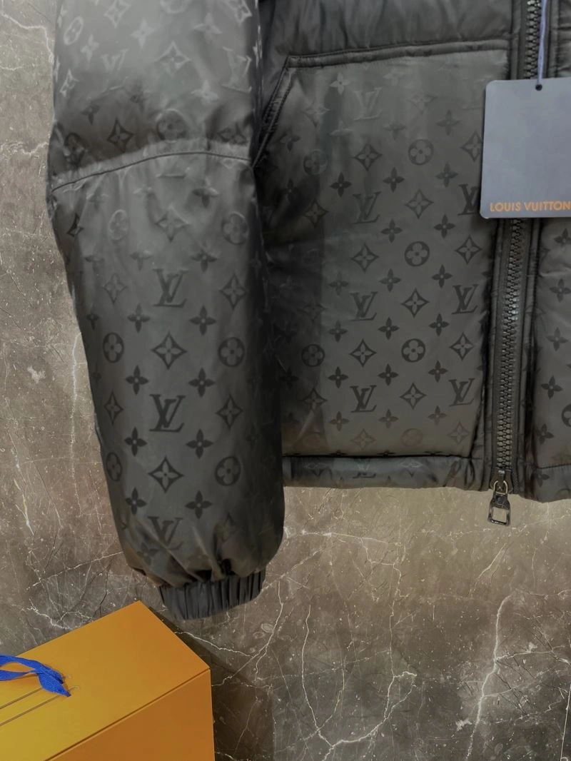 Neat Louis Vuitton Down Jackets 139366