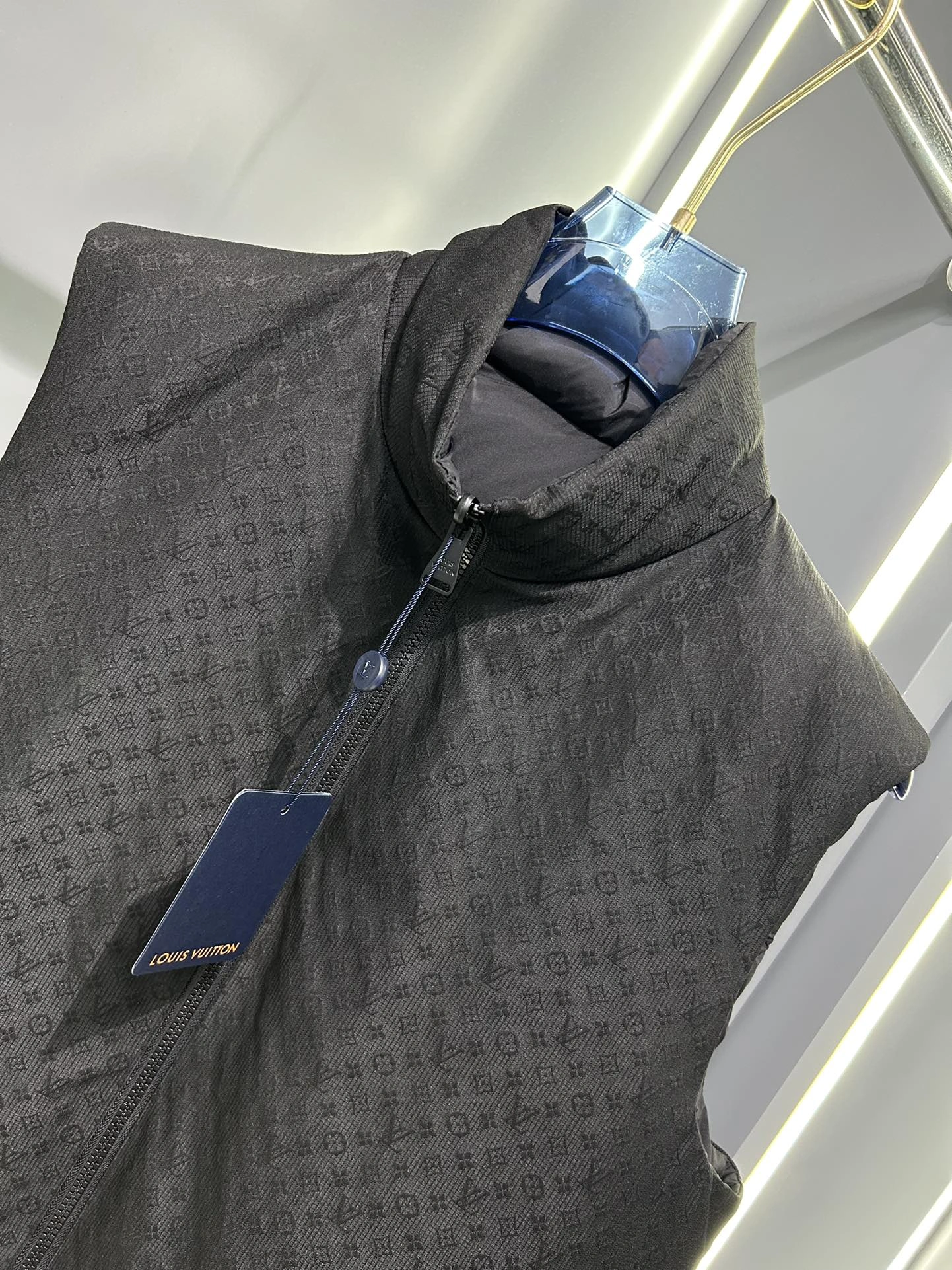 Louis Vuitton Down Jackets Upgraded 139438
