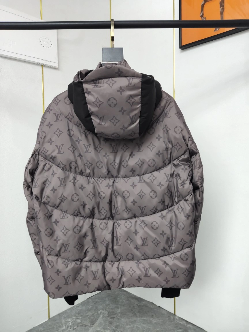Functional Louis Vuitton Down Jackets 139437