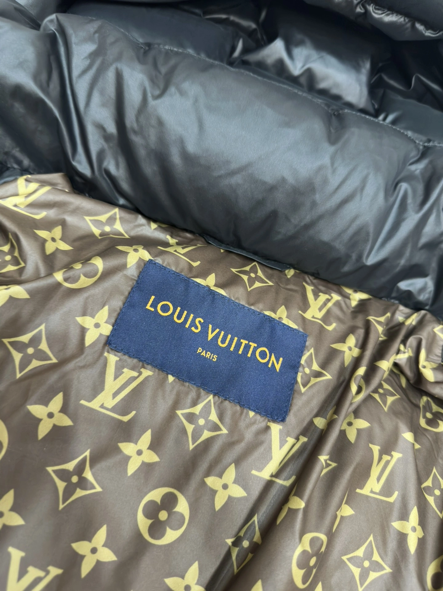 Louis Vuitton Down Jackets FastDry 139427