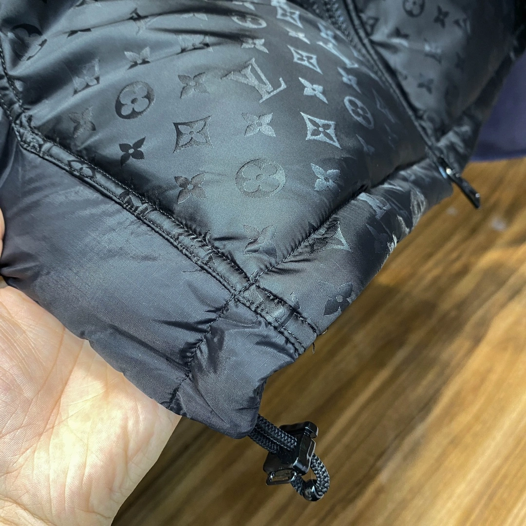 Louis Vuitton Down Jackets Refined 139408
