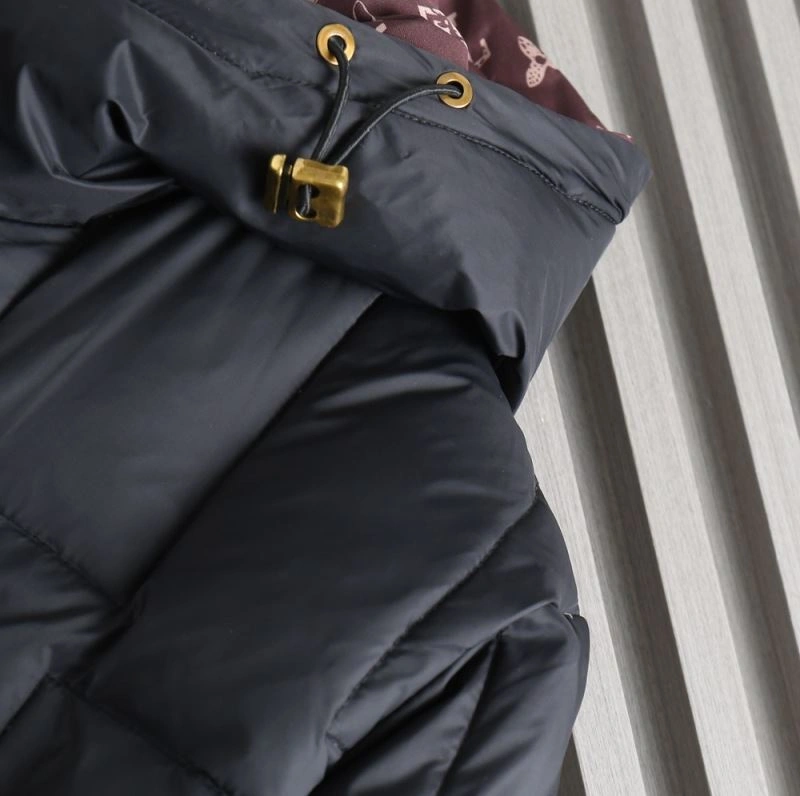 Functional Louis Vuitton Down Jackets 139352