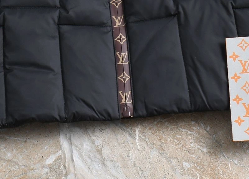 Functional Louis Vuitton Down Jackets 139352