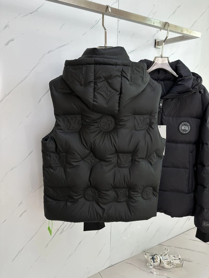 Bright Louis Vuitton Down Jackets 139327