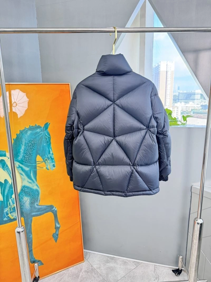 Neat Louis Vuitton Down Jackets 139328