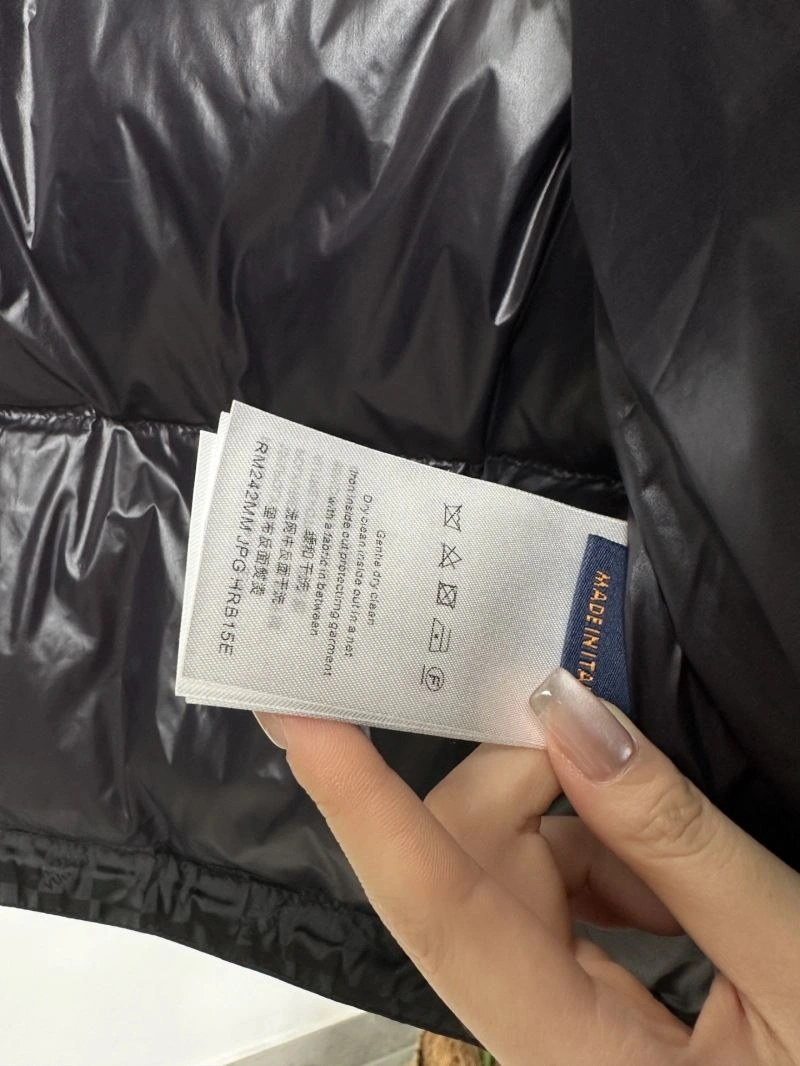 StreetReady Louis Vuitton Down Jackets 139283