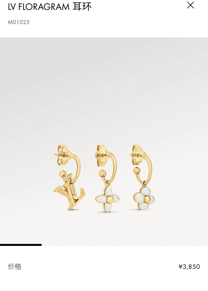 Sleek Louis Vuitton Earrings 251395