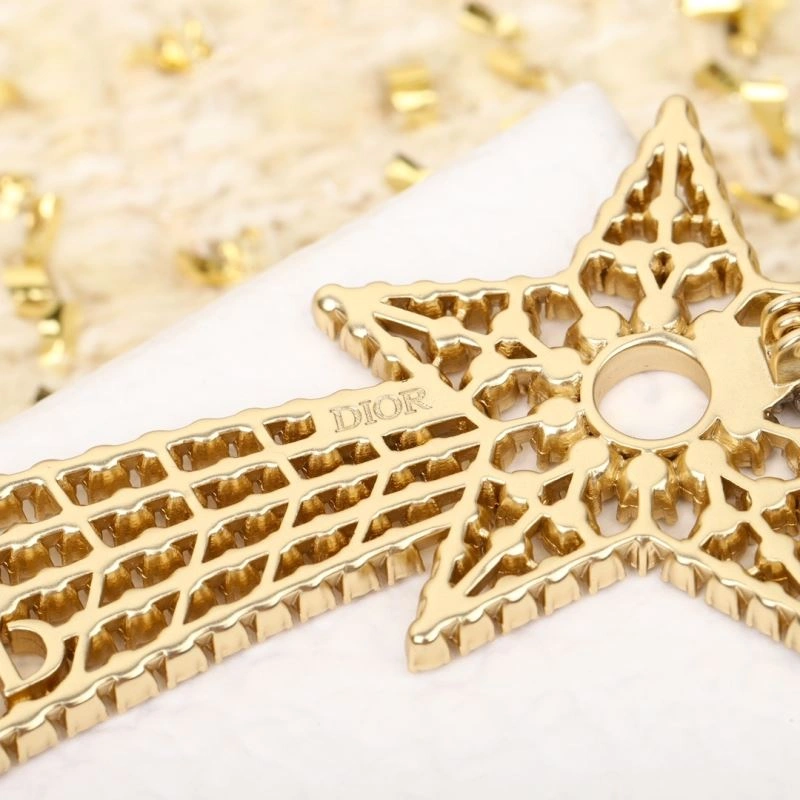 Louis Vuitton Earrings EyeCatching 251402