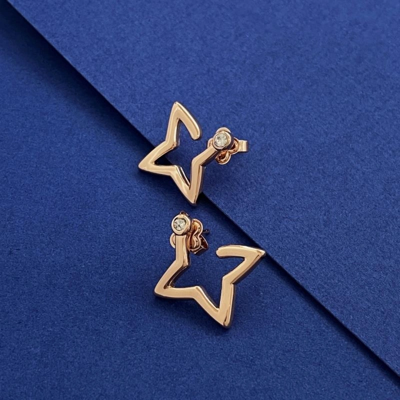 Supportive Louis Vuitton Earrings 251282