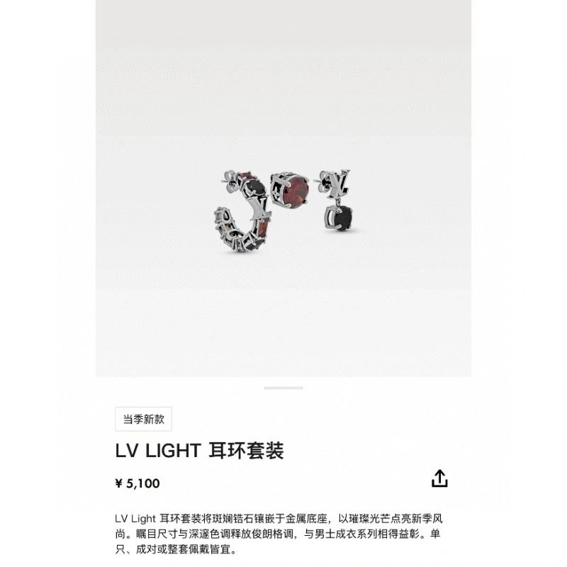 Sporty Louis Vuitton Earrings 251292