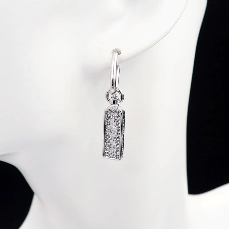 Louis Vuitton Earrings Unisex 251307
