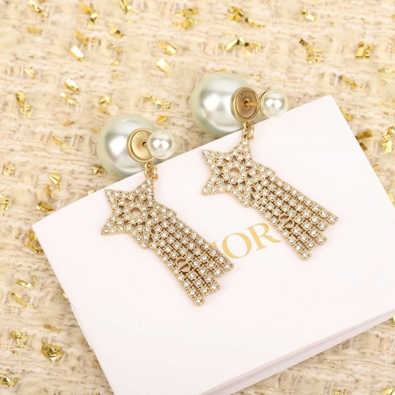 TravelReady Louis Vuitton Earrings 251249