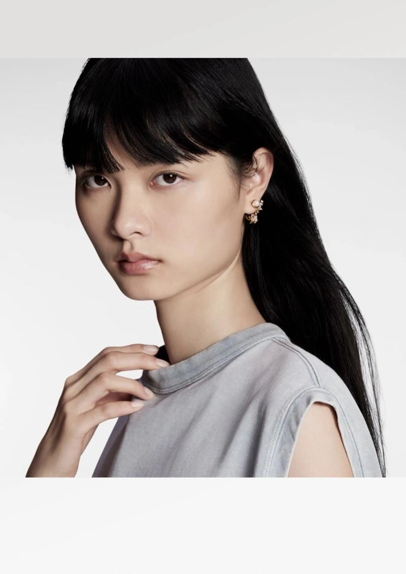 Functional Louis Vuitton Earrings 251739