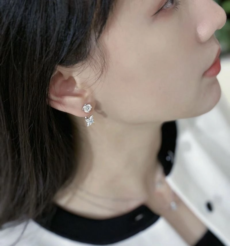 Louis Vuitton Earrings Functional 251738
