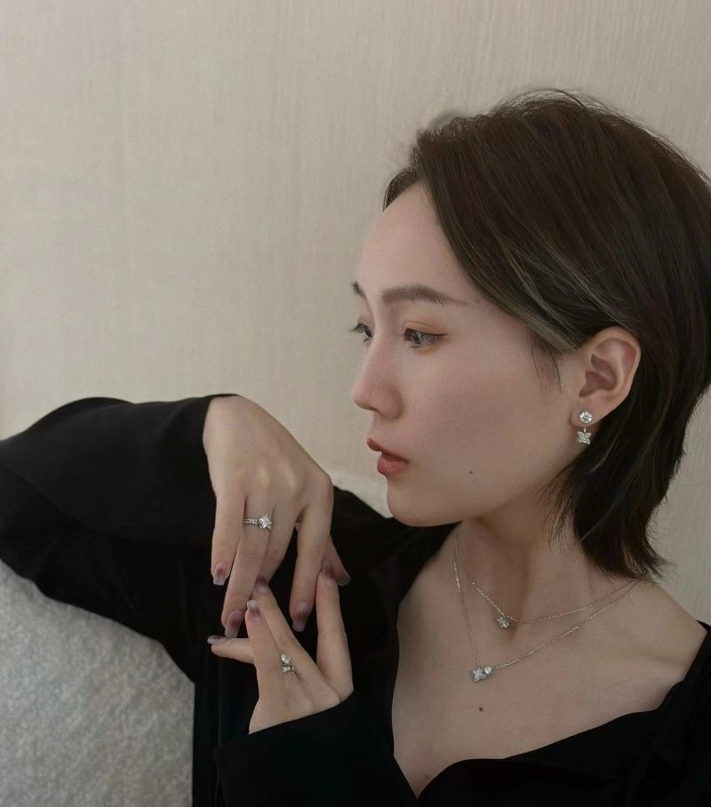 Louis Vuitton Earrings Functional 251738