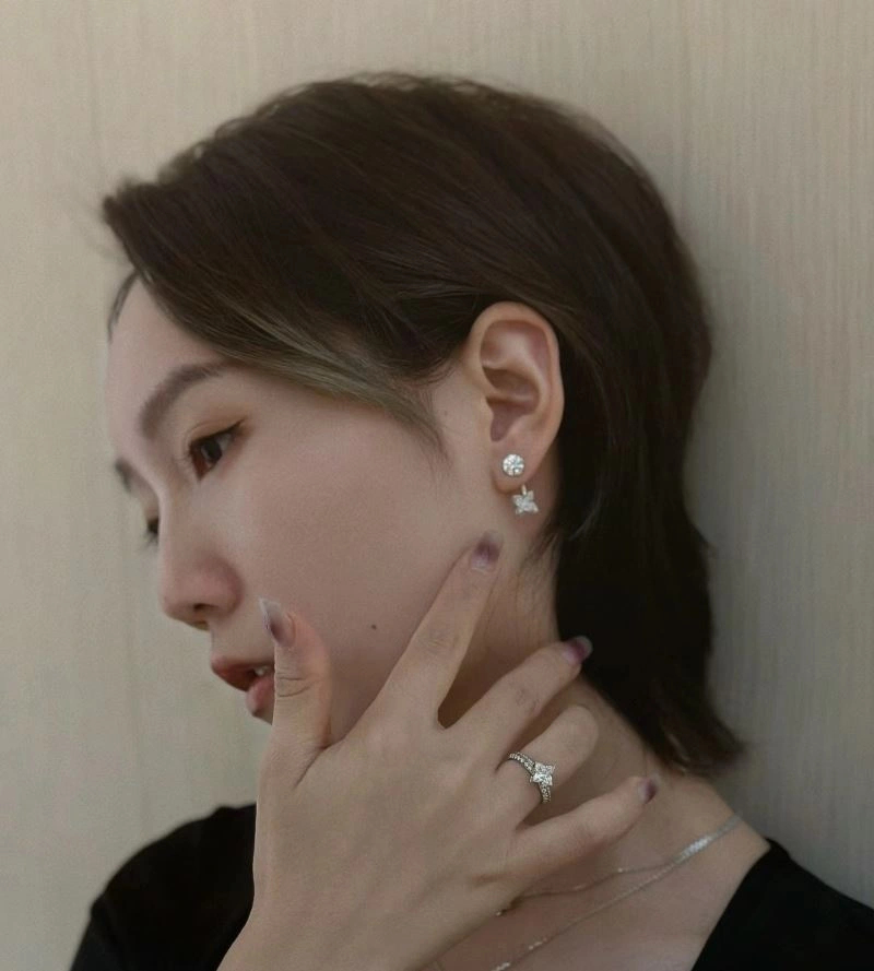 Louis Vuitton Earrings Functional 251738