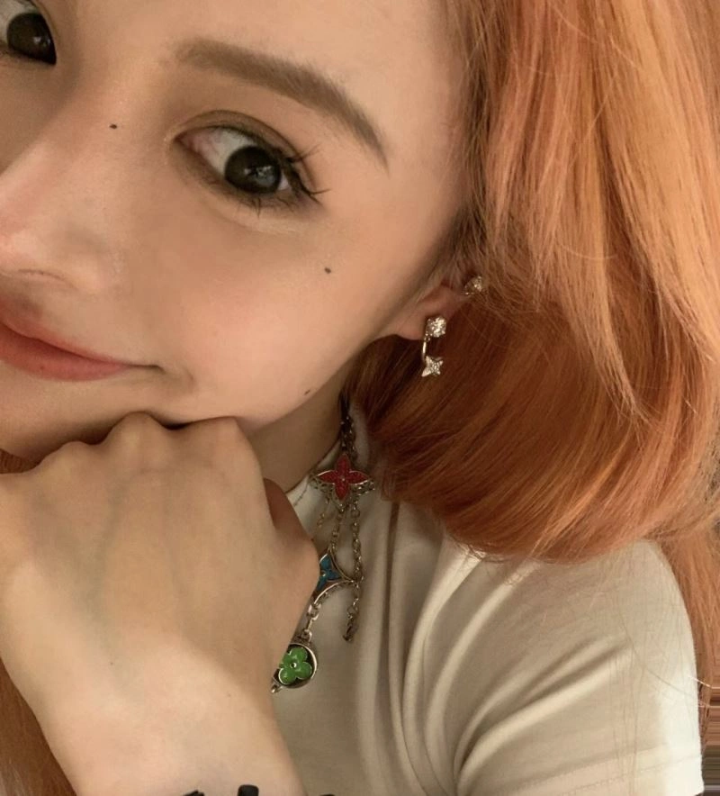Louis Vuitton Earrings Functional 251738