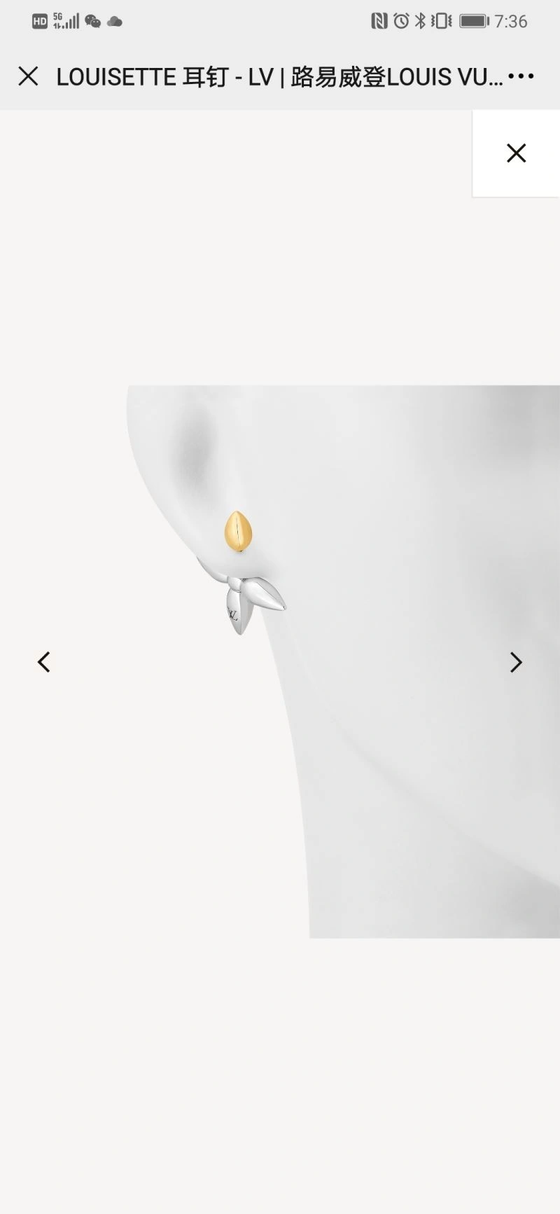 Louis Vuitton Earrings WaterResistant 251736