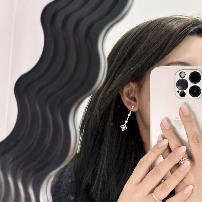 Packable Louis Vuitton Earrings 251717