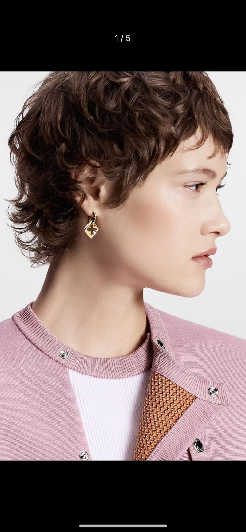 Louis Vuitton Earrings Contemporary 251100