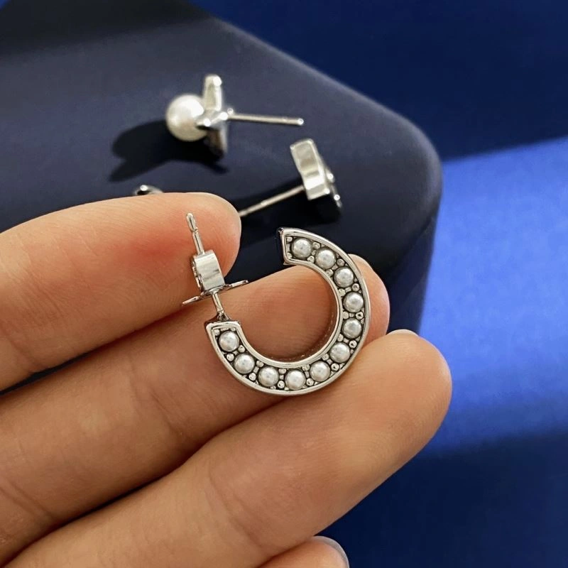Youthful Louis Vuitton Earrings 251099