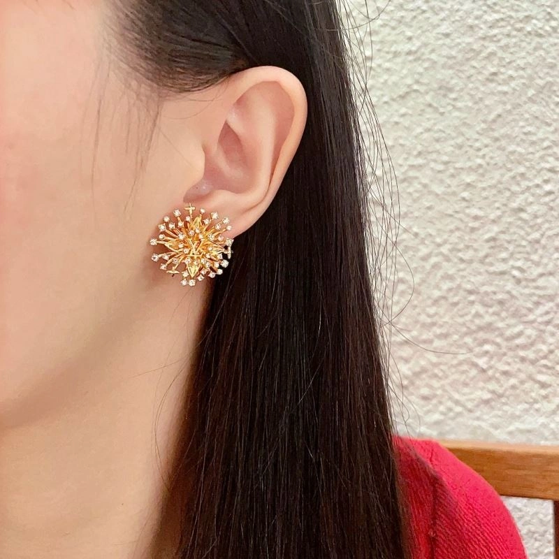 Louis Vuitton Earrings Supportive 251094