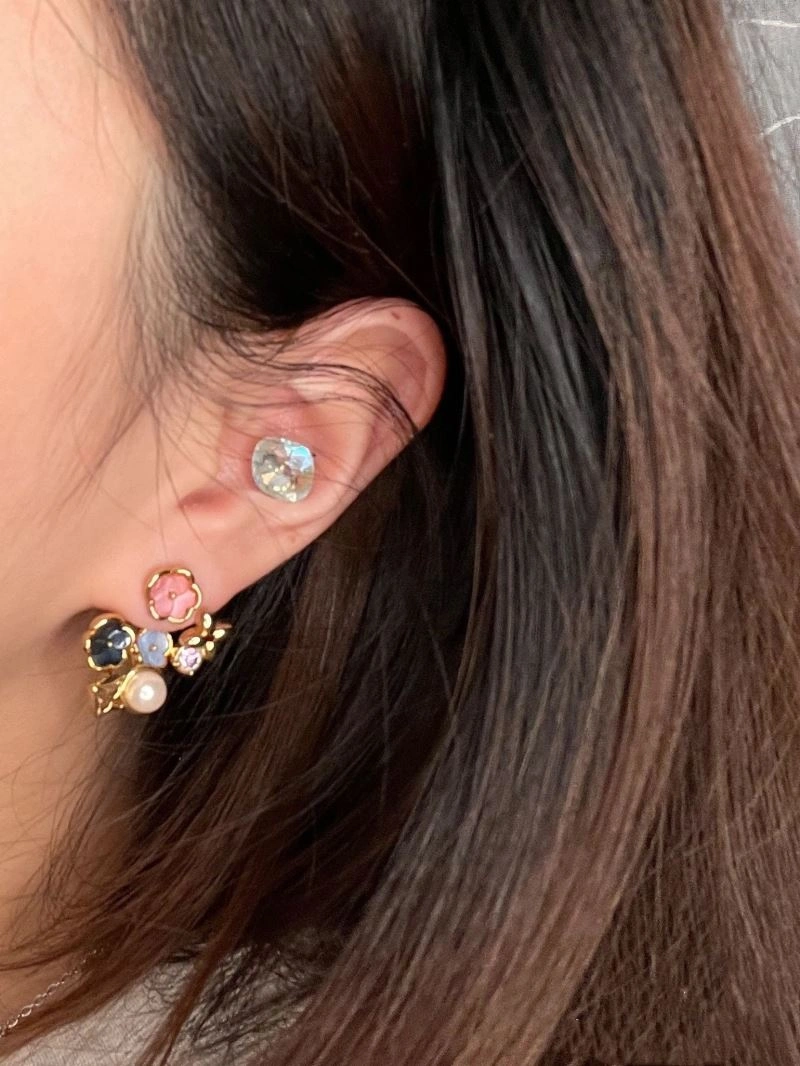 Colorful Louis Vuitton Earrings 250639
