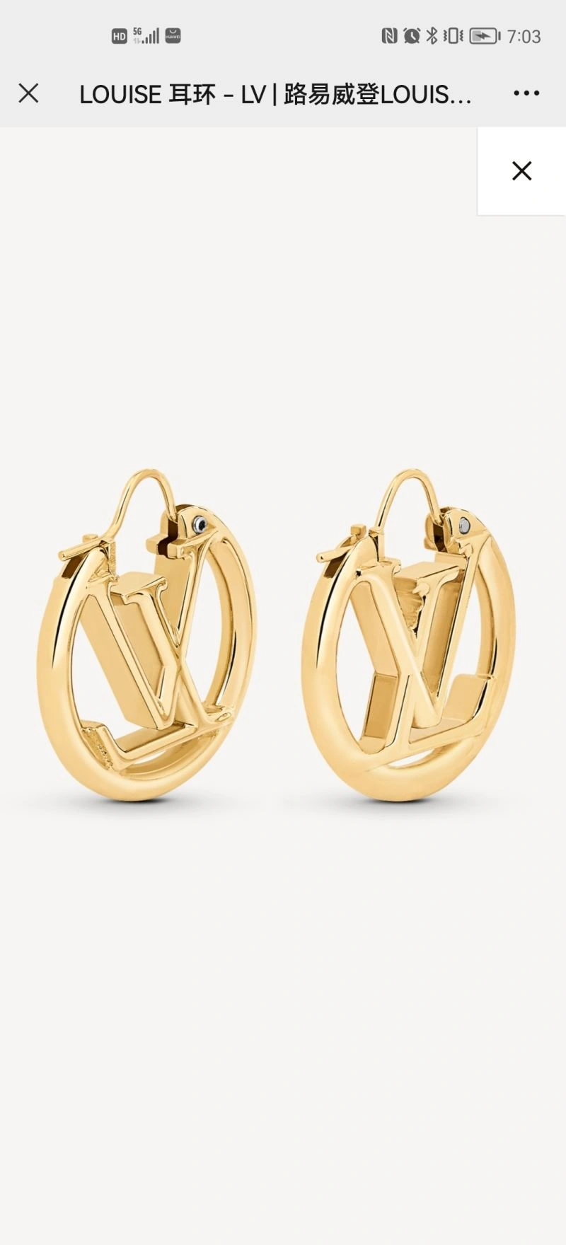 GoAnywhere Louis Vuitton Earrings 250638