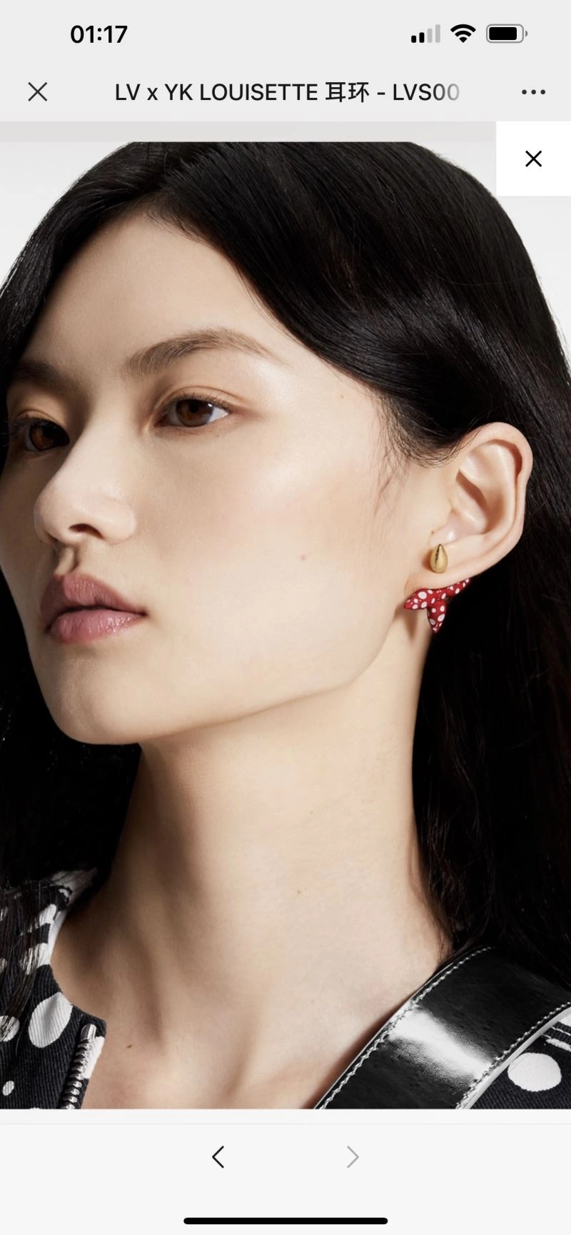 QuickDry Louis Vuitton Earrings 250590
