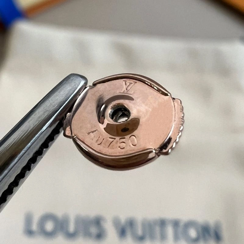 Louis Vuitton Earrings Chic 250178