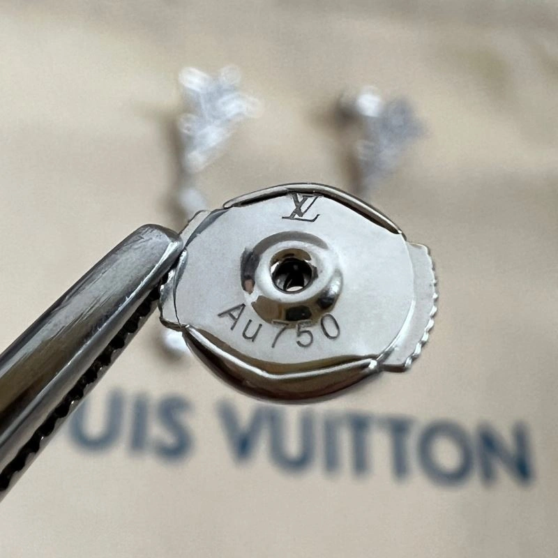 Louis Vuitton Earrings MultiPurpose 250165