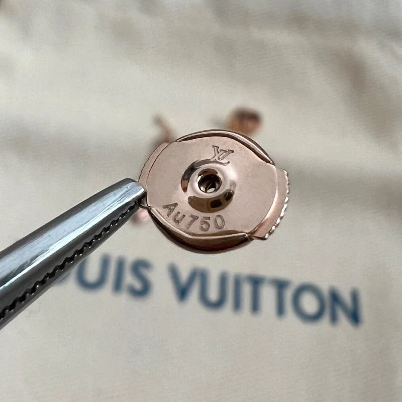 Comfortable Louis Vuitton Earrings 250163