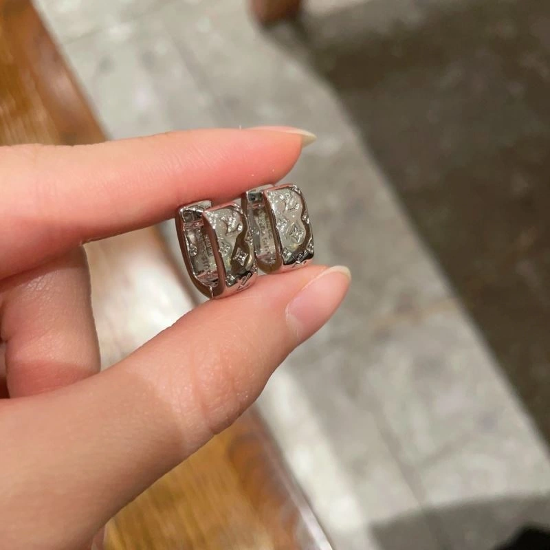 Louis Vuitton Earrings BestValue 250180