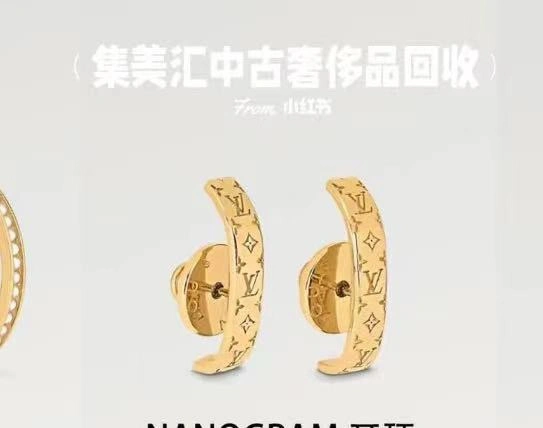 Louis Vuitton Earrings DailyWear 250120