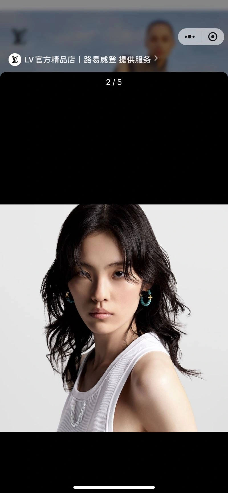 Sporty Louis Vuitton Earrings 250116