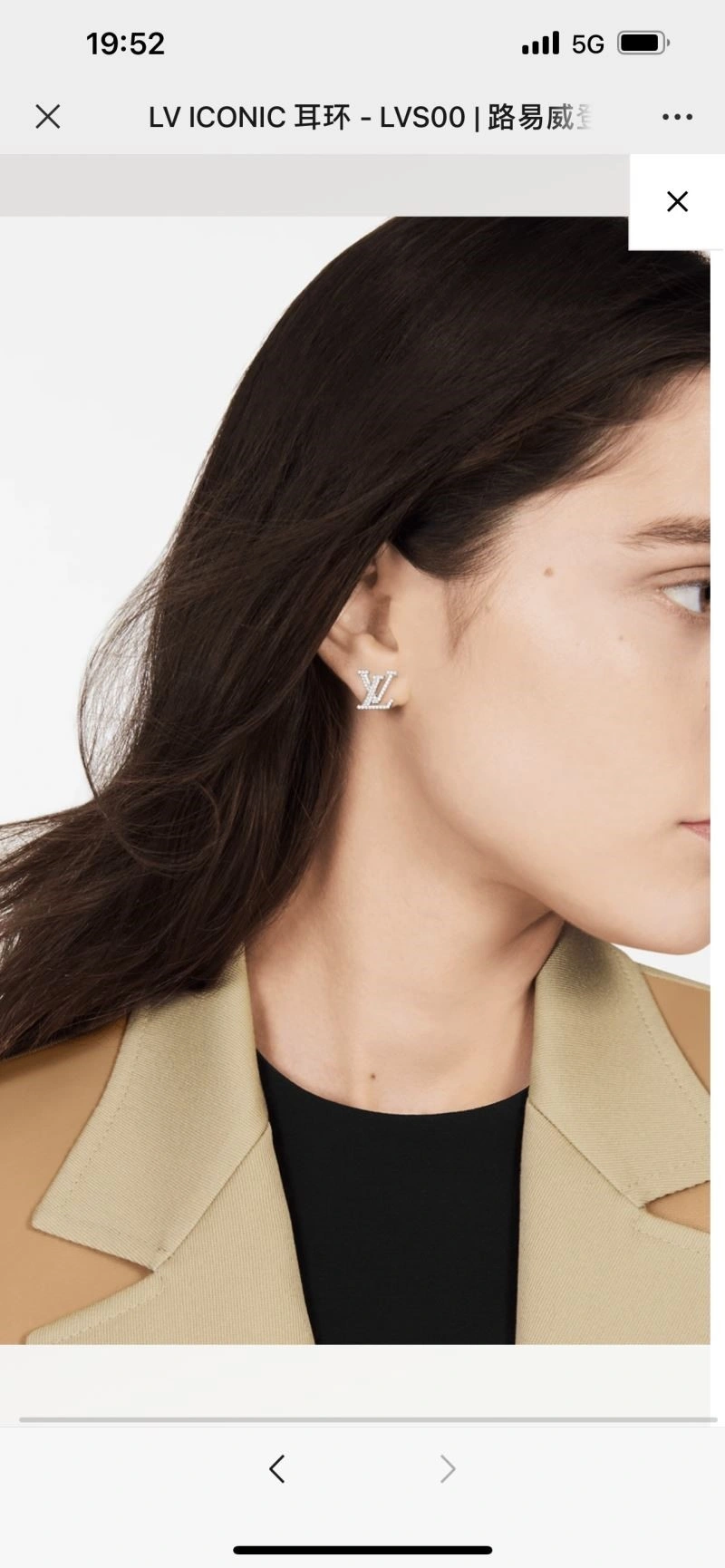 Louis Vuitton Earrings StreetReady 249810