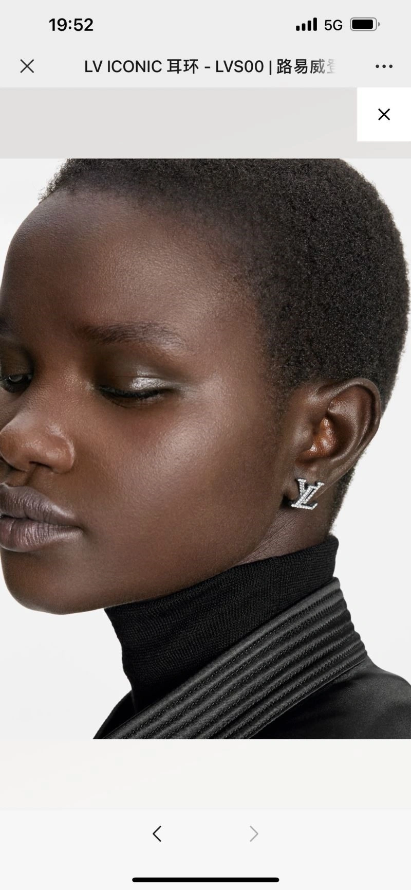 Louis Vuitton Earrings StreetReady 249810