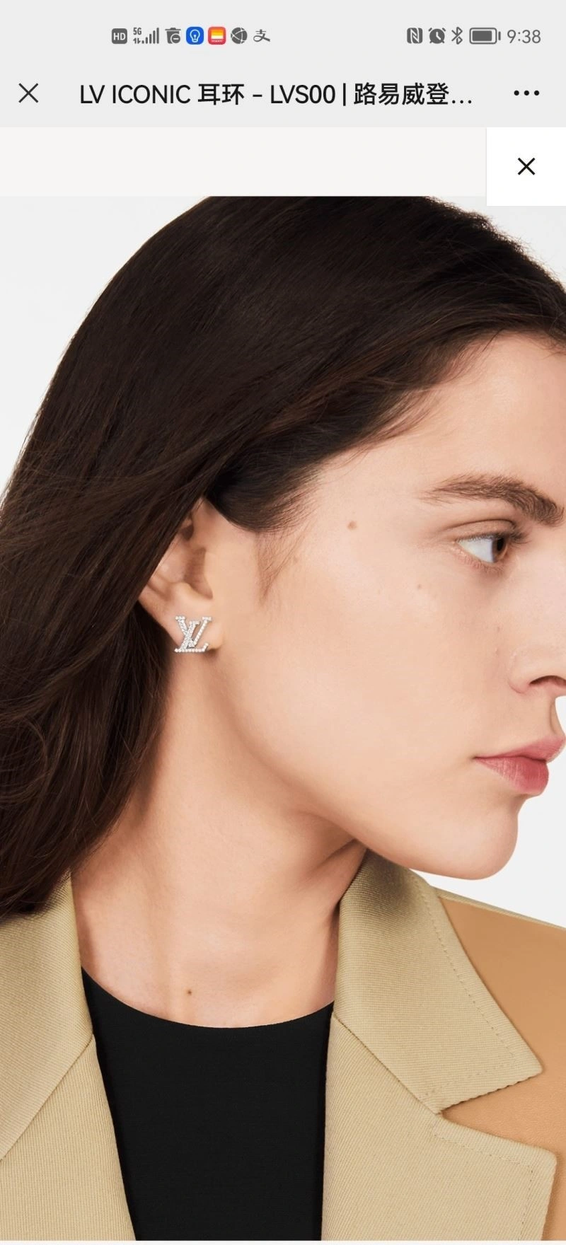 Chic Louis Vuitton Earrings 249816