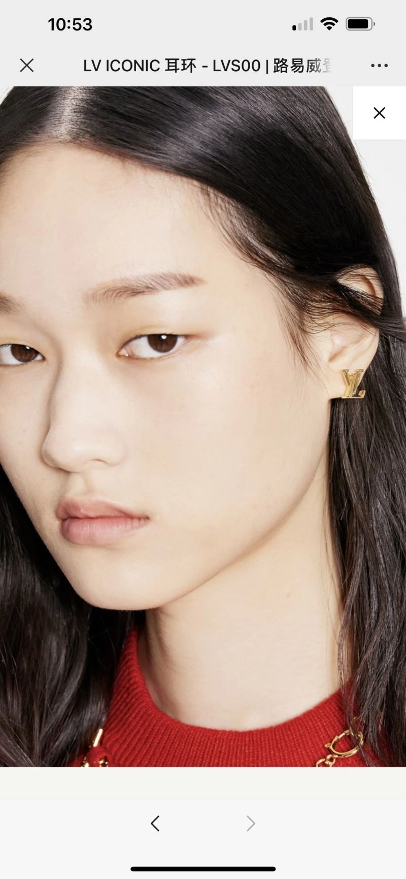 Louis Vuitton Earrings Sophisticated 249811