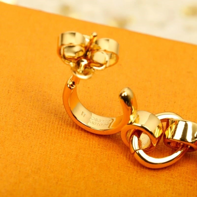 Louis Vuitton Earrings Affordable 249793