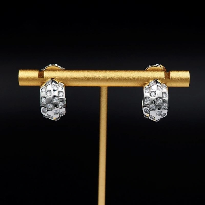 FastDry Louis Vuitton Earrings 249821