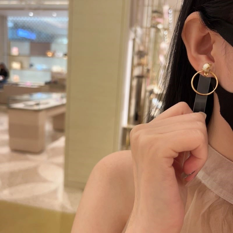 Louis Vuitton Earrings Flexible 249803
