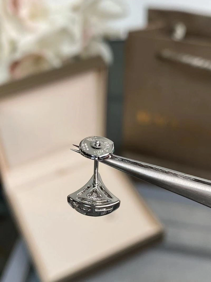TravelReady Louis Vuitton Earrings 249807