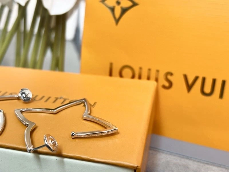 Comfortable Louis Vuitton Earrings 249799