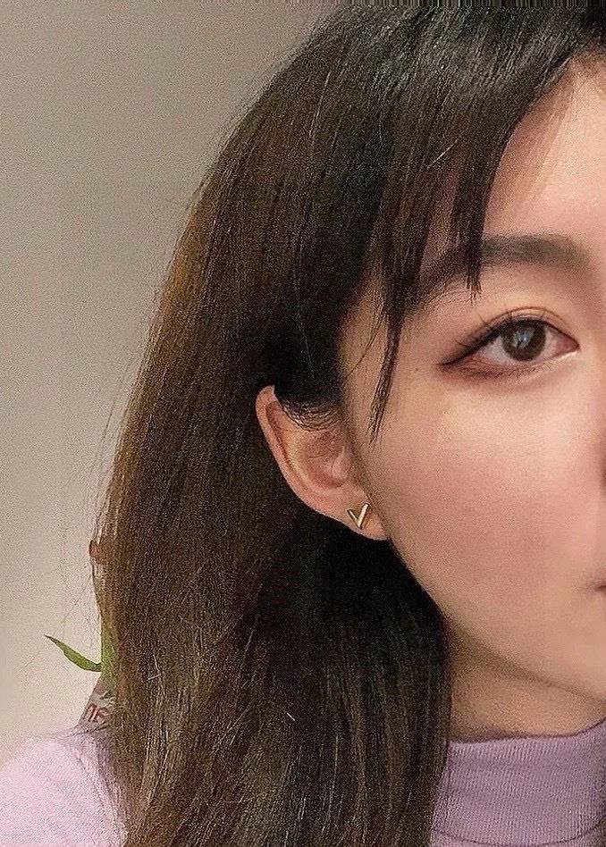 SmartChoice Louis Vuitton Earrings 249792