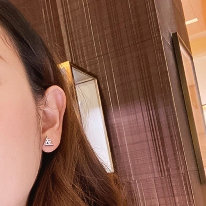 FastDry Louis Vuitton Earrings 249787