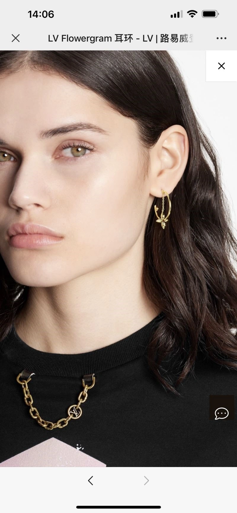 TechFriendly Louis Vuitton Earrings 249464