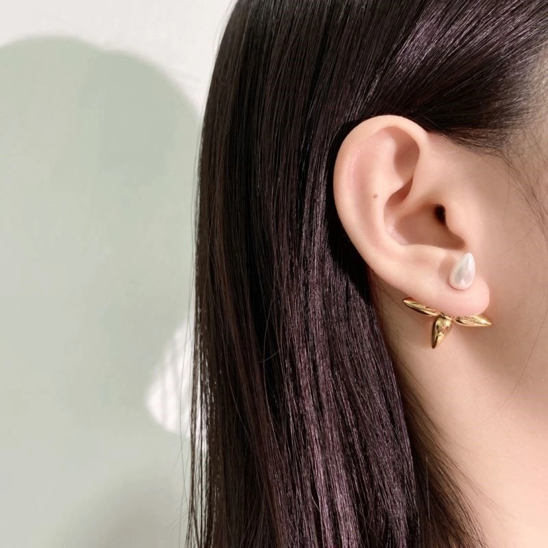 Chic Louis Vuitton Earrings 249434
