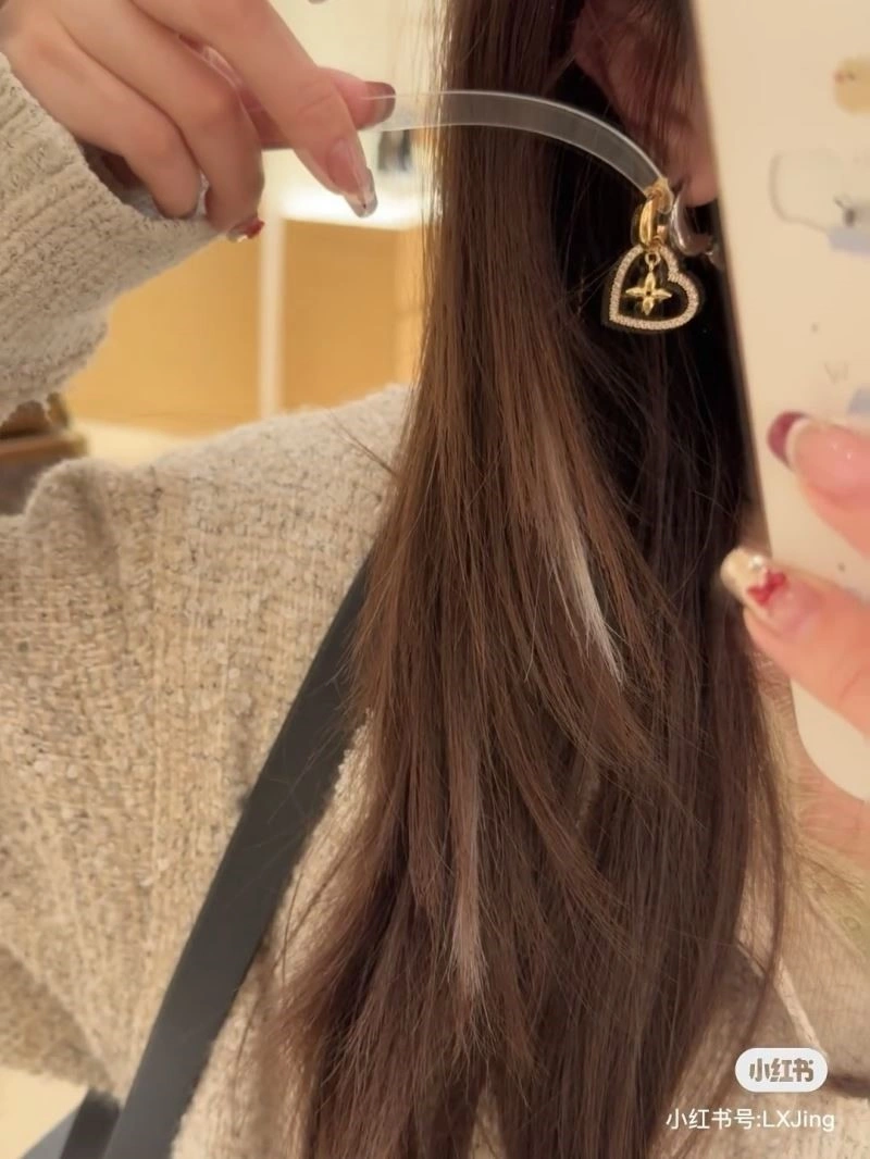 Louis Vuitton Earrings NewStyle 249039